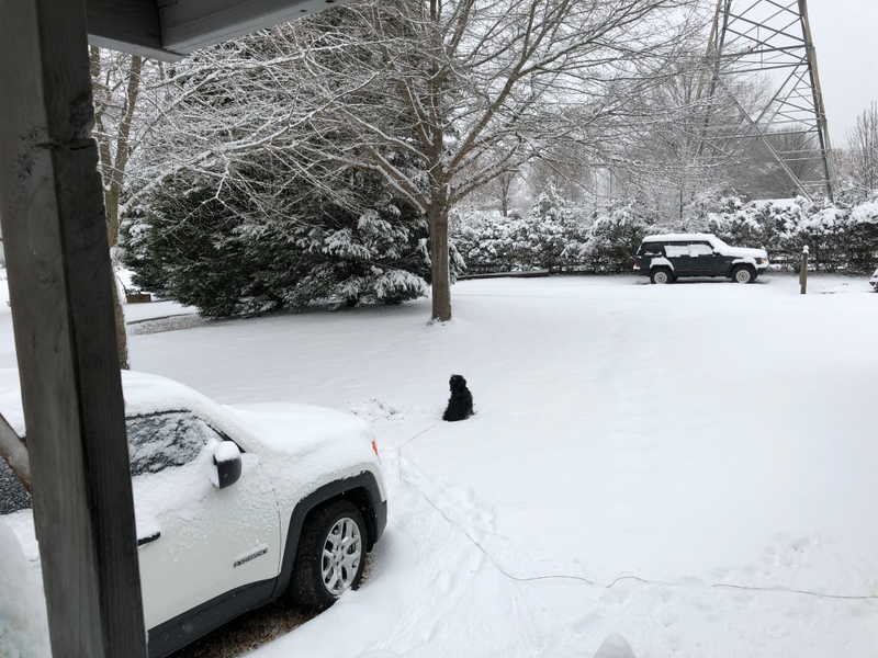 Scooter is more a snow dog than Binkie. She crawled under the porch to pee.